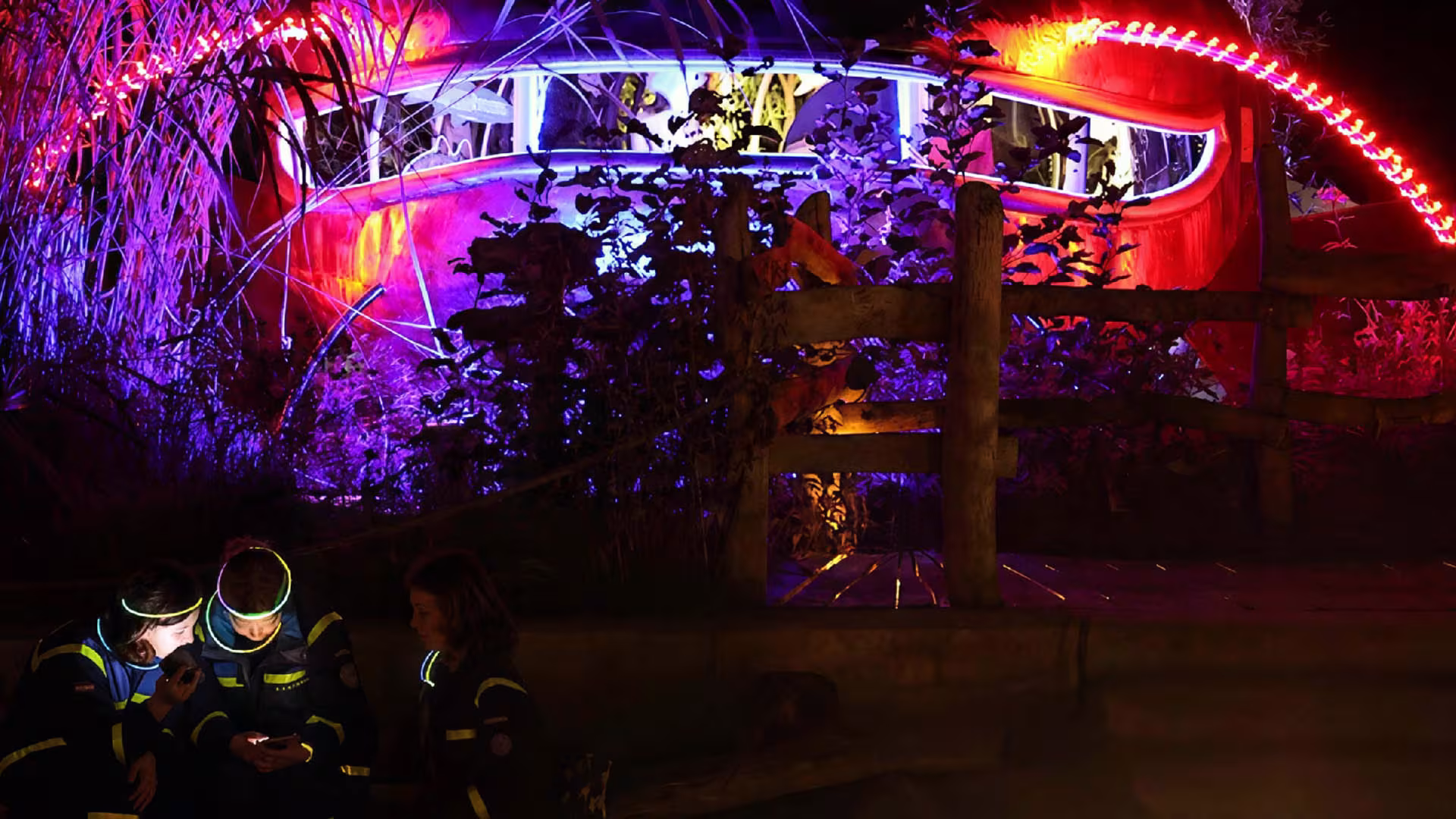 Wildparkleuchten - Ein Lichtermeer bei Wolf und Bär