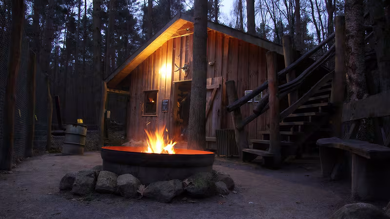 Verbringe eine Nacht in der Wolfshütte im Wildpar-MV